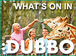 main_dubbo